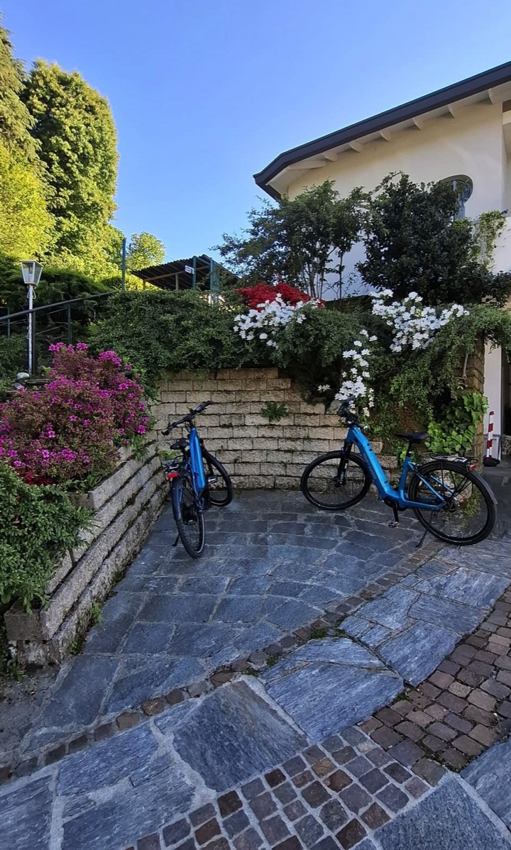 Domus190 biciclette